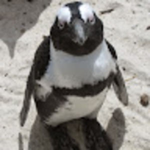 Meet your Posher, John